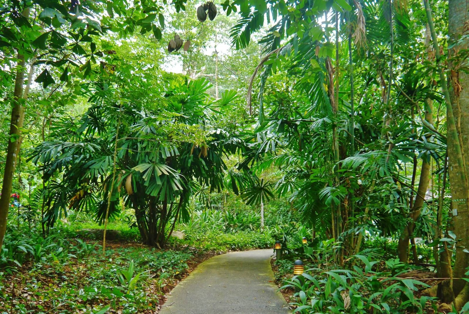 8@BT Bukit Timah Nature Reserve